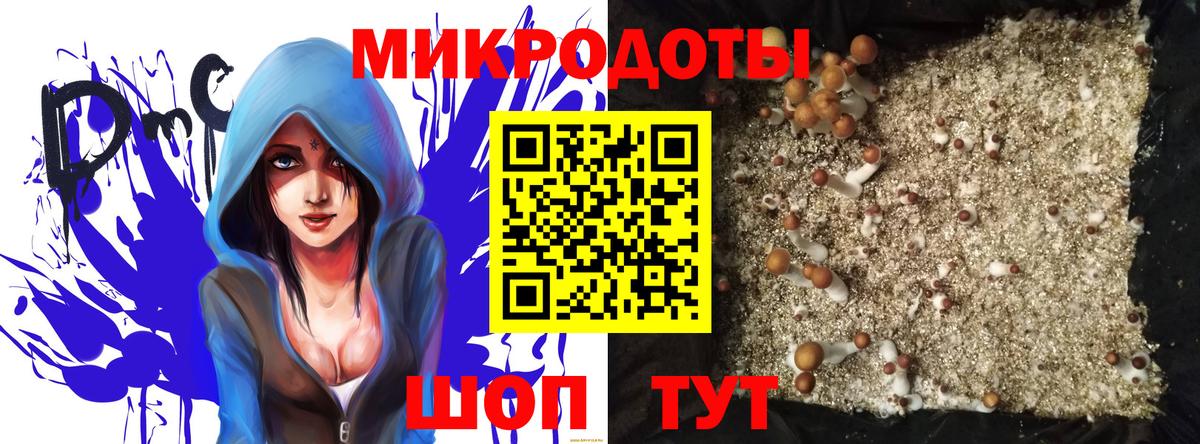 Россия  Галлюциногенные грибы Psilocybe  Вход с VPN  Галлюциногенные грибы мухоморы 
