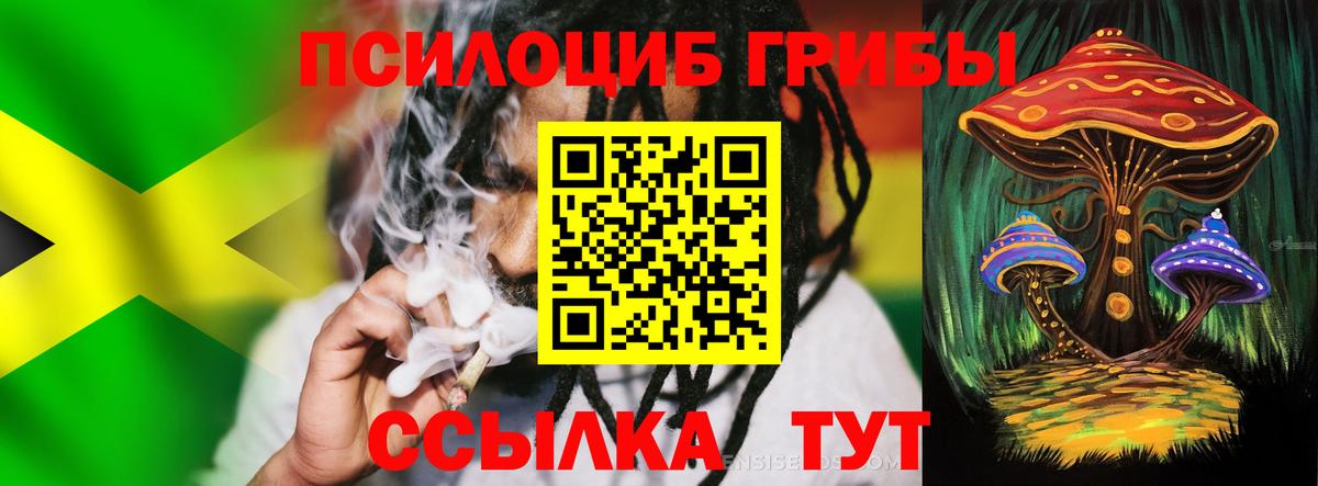 Галлюциногенные грибы Psilocybine cubensis Россия